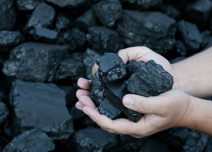 Ever Increasing Impact Of High Rising Coal Price & The Solution For Industries: